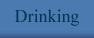Drinking